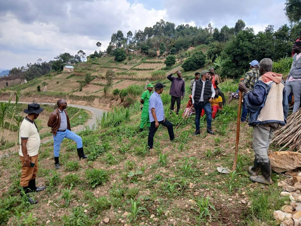 Umuyobozi wa RAB n'ubuyobozi bw'Akarere ka Gakenke basuye imirima yangijwe n'urubura basaba abaturage kubungabunga ibigori byameze
