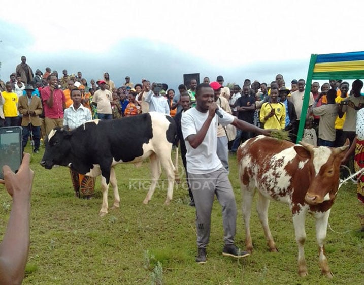 Muri iki gikorwa Abanyamuryango ba AERG na GAERG batanga Inka y'ishimwe ku wahishe abatutsi ndetse bakanatanga inka ku warokotse Jenoside utishoboye