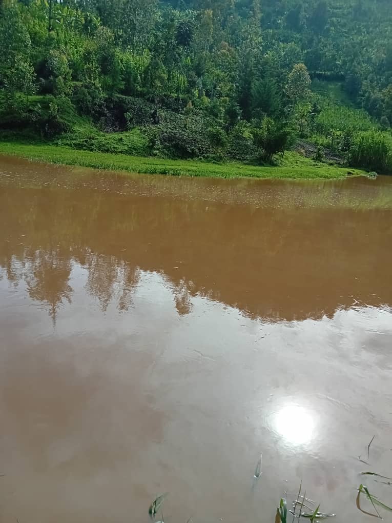 Amazi aturuka mu idamu y'urugomero rwa Mukungwa II yiroha mu mirima y'abaturage ari nabyo byatumye basabwa kureka kuyihinga