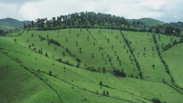 Batunganyirijwe inzuri bituma aborizi badasubira kuragira muri pariki