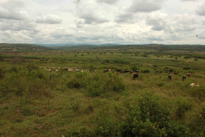 Uru ni urwuri rw'abagize iyi miryango; ruri mu Karere ka Nyagatare.