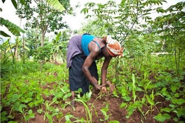 Amakimbirane menshi agaragara mu Rwanda aturuka ku bukata, nk