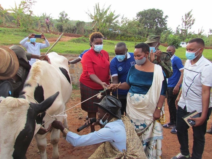 Furaha yahawe inka yiswe iy