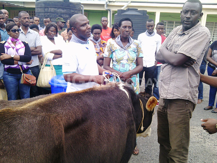 Kabaraza ashyikirizwa inka yagenewe n