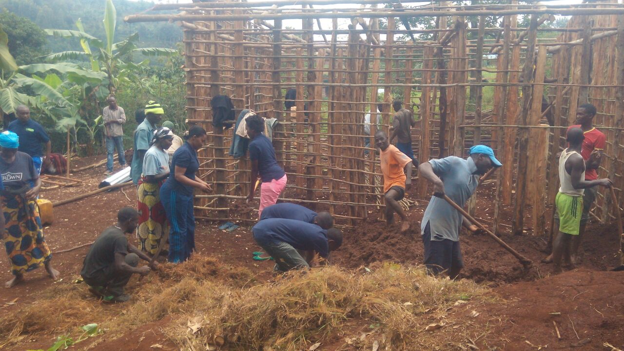 Mu murenge Wa Giheke, abakozi ba bank iya KCB bakoze umuganda wo kubakira umukecuru wacitse Ku icumu rya Jenoside witwa Mukarubibi Denise.