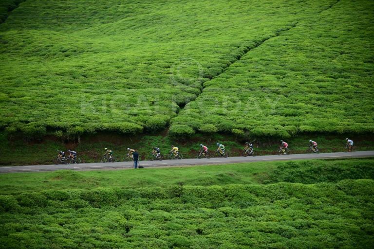 Abasiganwa muri Tour du Rwanda bamanuka mu mirima y'icyayi cya Gisakura 