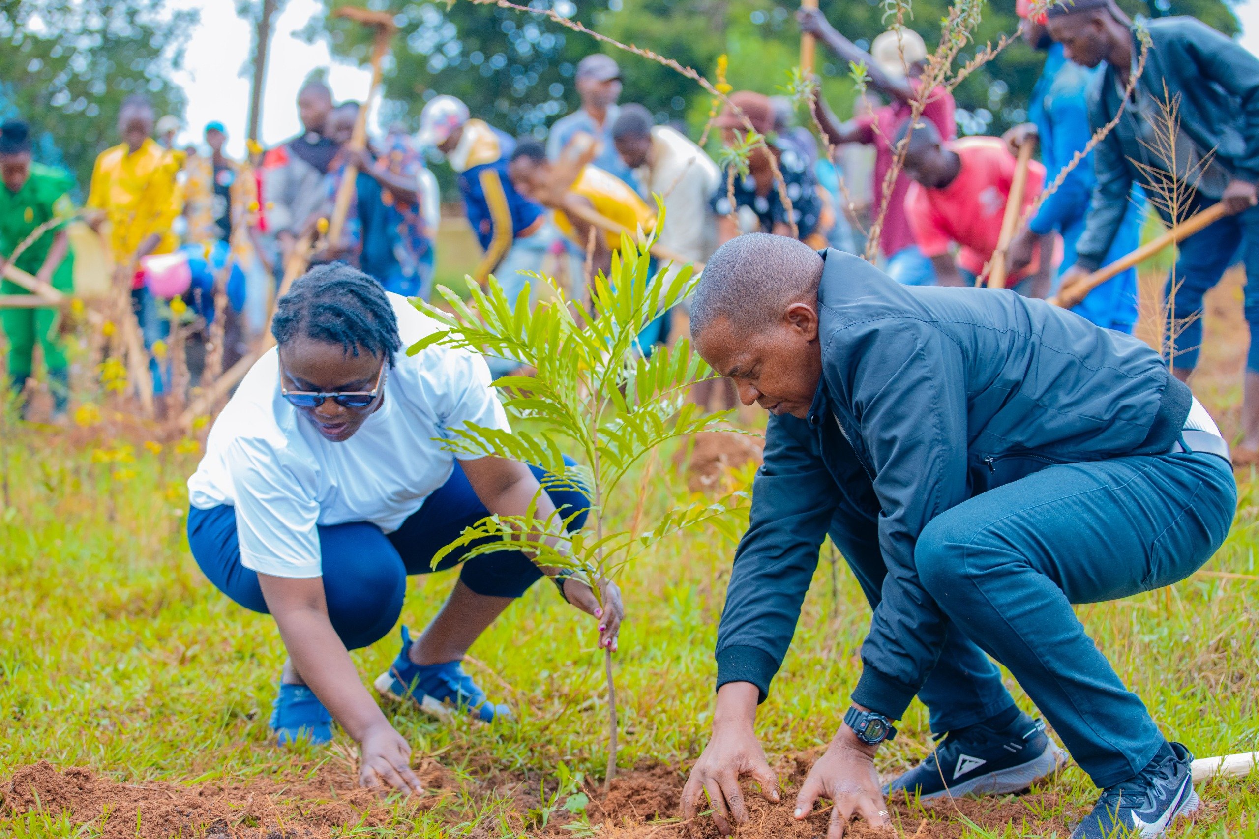 Umujyi wa Kigali uvuga ko uzatera ibiti birenga miliyoni eshatu ku nkengero z'imihanda no mu ngo
