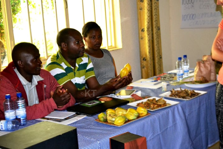 Zimwe mu mfashanyigisho bifashisha harimo ibiribwa bitakitabwaho harimo n