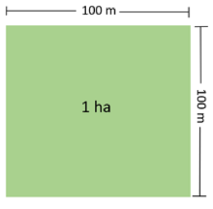 Hegitari burya ni metero 100 kuri metero 100
