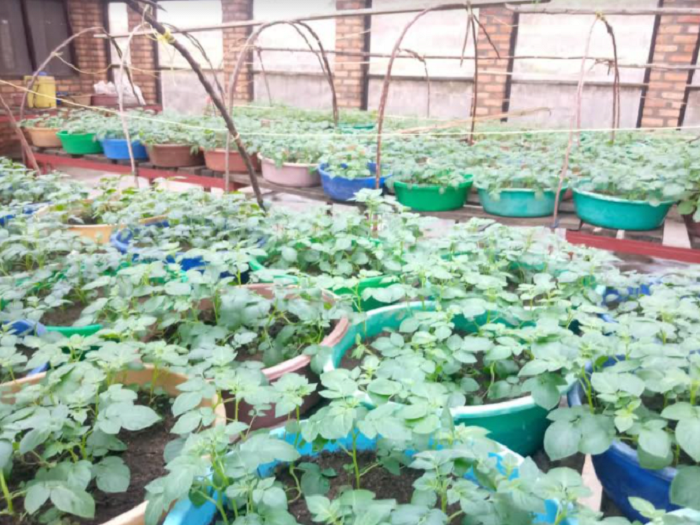 I Nyaruguru bihaye imyaka ibiri bakaba bakemuye ikibazo cy