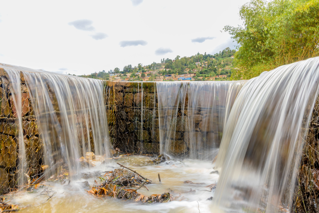 Umushinga wo kubungabunga ibishanga mu Mujyi wa Kigali