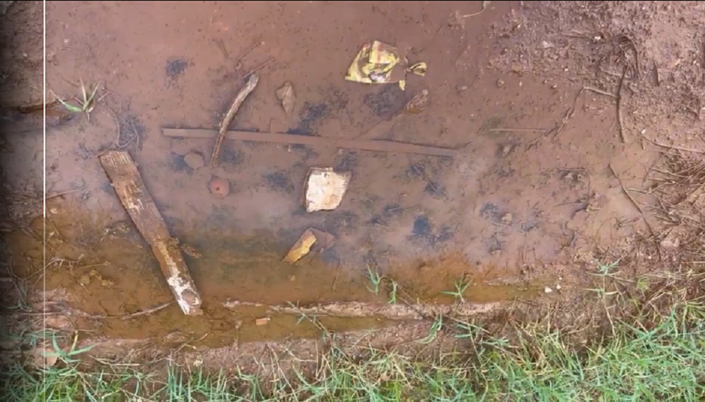 Udukoko tw'umukara turi mu mazi ni imibu iba itaramenya kuguruka